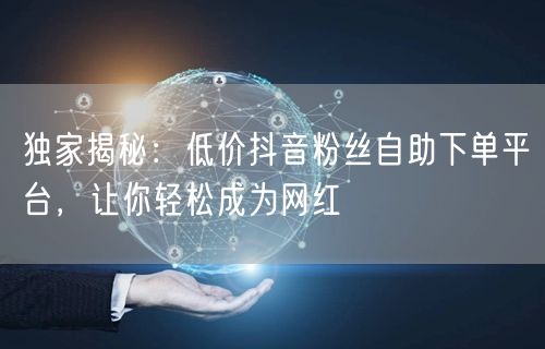 独家揭秘：低价抖音粉丝自助下单平台，让你轻松成为网红