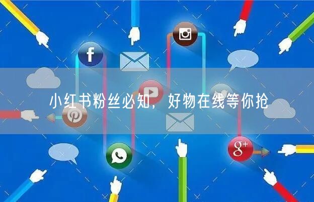 小红书粉丝必知，好物在线等你抢
