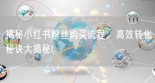 揭秘小红书粉丝购买流程：高效转化秘诀大揭秘!