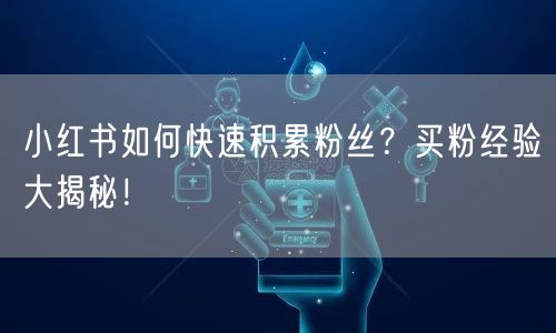 小红书如何快速积累粉丝？买粉经验大揭秘！