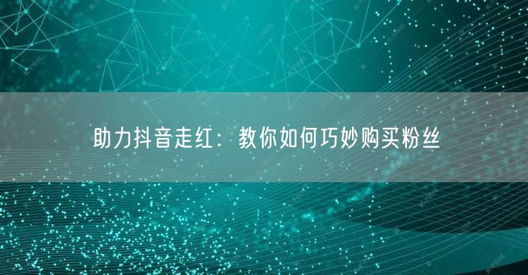 助力抖音走红：教你如何巧妙购买粉丝