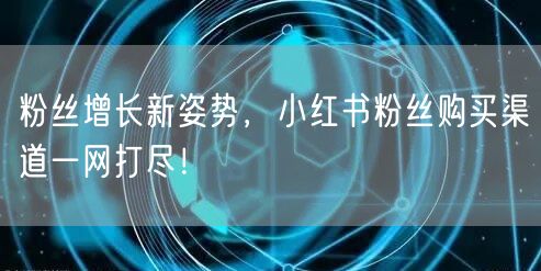 粉丝增长新姿势，小红书粉丝购买渠道一网打尽！