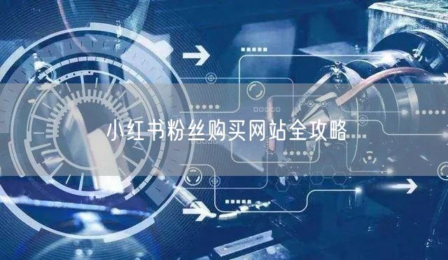 小红书粉丝购买网站全攻略