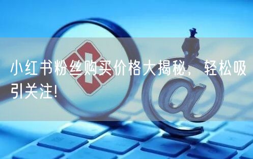 小红书粉丝购买价格大揭秘，轻松吸引关注!