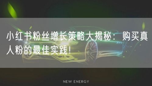 小红书粉丝增长策略大揭秘：购买真人粉的最佳实践！