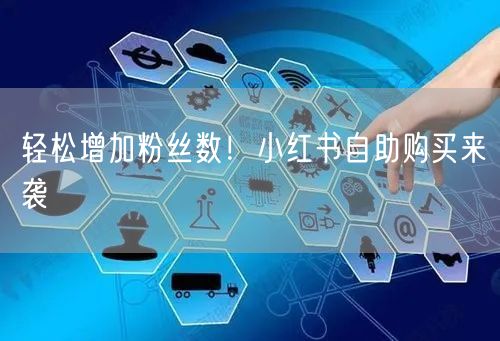 轻松增加粉丝数！小红书自助购买来袭