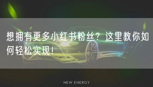想拥有更多小红书粉丝？这里教你如何轻松实现！