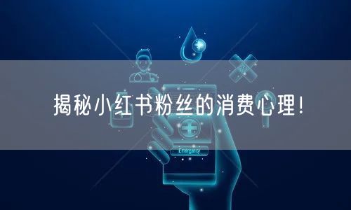 揭秘小红书粉丝的消费心理！