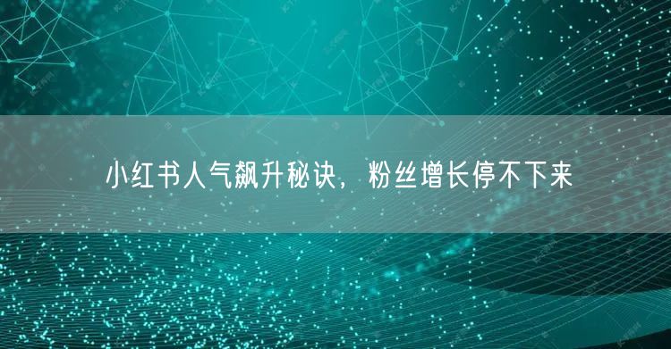 小红书人气飙升秘诀，粉丝增长停不下来