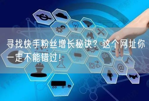 寻找快手粉丝增长秘诀？这个网址你一定不能错过！
