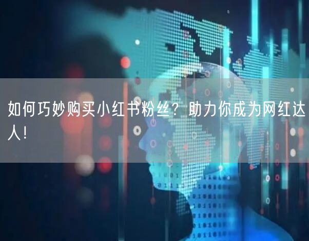 如何巧妙购买小红书粉丝？助力你成为网红达人！