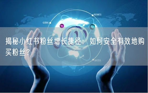 揭秘小红书粉丝增长捷径：如何安全有效地购买粉丝？