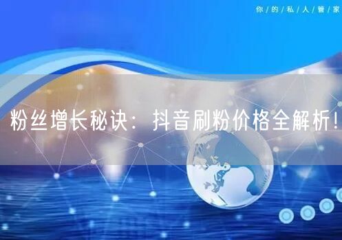 粉丝增长秘诀：抖音刷粉价格全解析！