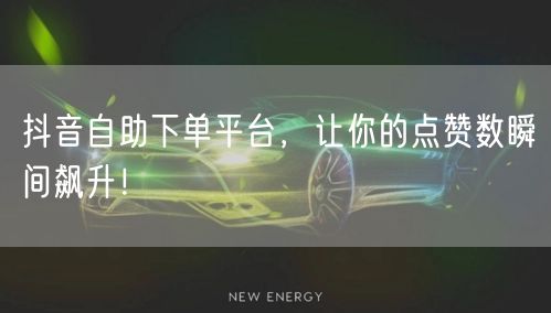 抖音自助下单平台，让你的点赞数瞬间飙升！
