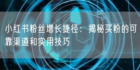 小红书粉丝增长捷径：揭秘买粉的可靠渠道和实用技巧