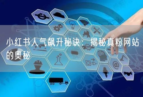 小红书人气飙升秘诀：揭秘真粉网站的奥秘