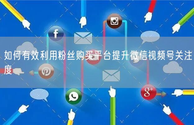 如何有效利用粉丝购买平台提升微信视频号关注度