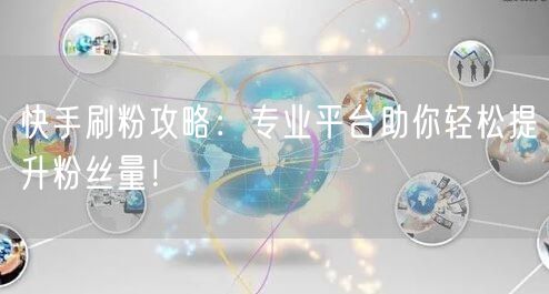 快手刷粉攻略：专业平台助你轻松提升粉丝量！