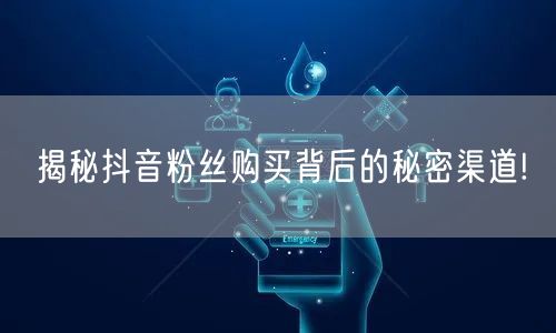 揭秘抖音粉丝购买背后的秘密渠道!