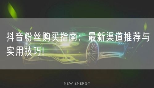 抖音粉丝购买指南：最新渠道推荐与实用技巧!