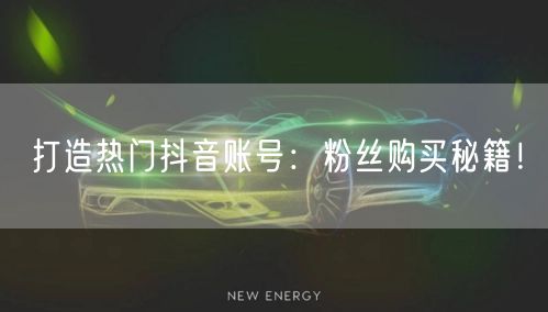 打造热门抖音账号：粉丝购买秘籍！