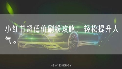 小红书超低价刷粉攻略，轻松提升人气。