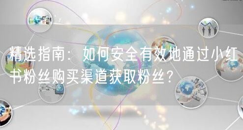 精选指南：如何安全有效地通过小红书粉丝购买渠道获取粉丝？