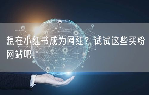 想在小红书成为网红？试试这些买粉网站吧！