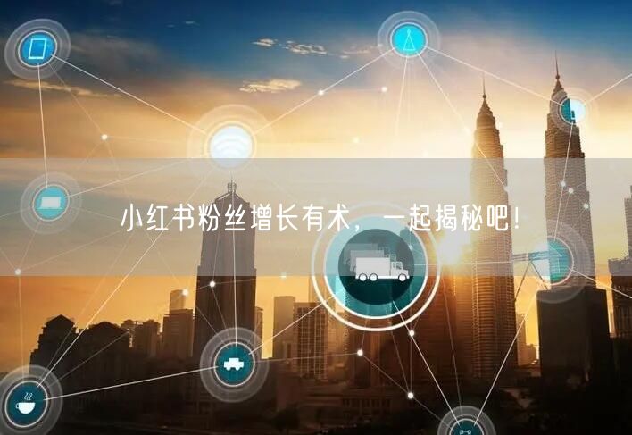 小红书粉丝增长有术，一起揭秘吧！