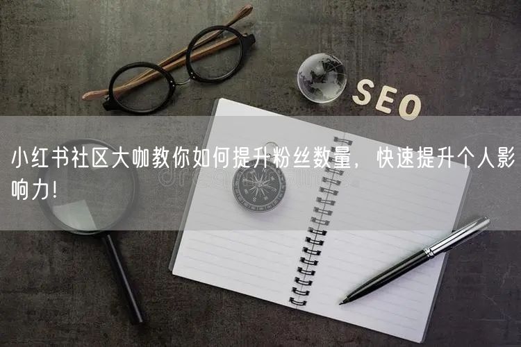 小红书社区大咖教你如何提升粉丝数量，快速提升个人影响力！