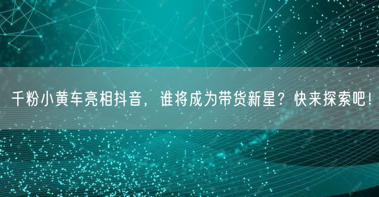 千粉小黄车亮相抖音，谁将成为带货新星？快来探索吧！