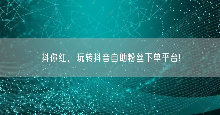 抖你红，玩转抖音自助粉丝下单平台!