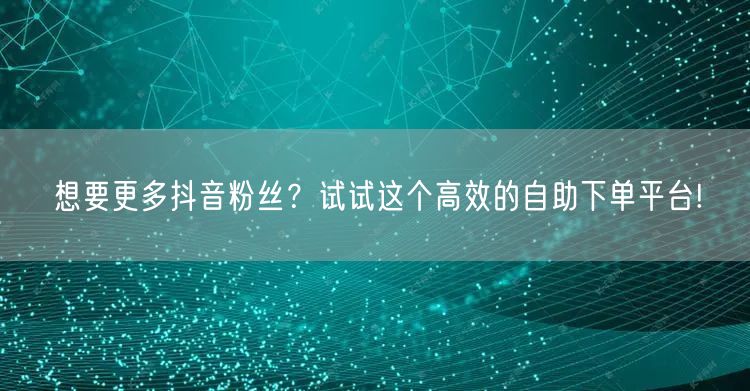 想要更多抖音粉丝？试试这个高效的自助下单平台!