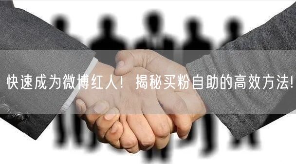 快速成为微博红人！揭秘买粉自助的高效方法!