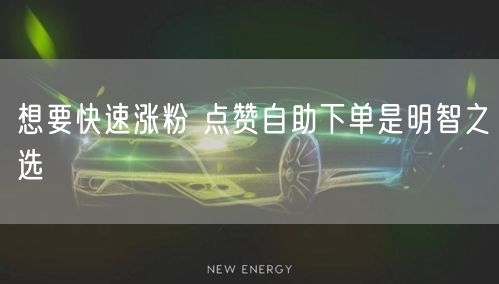 想要快速涨粉 点赞自助下单是明智之选
