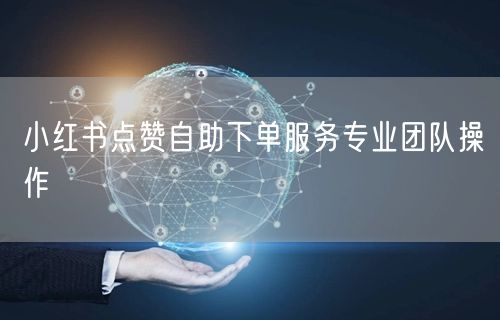 小红书点赞自助下单服务专业团队操作