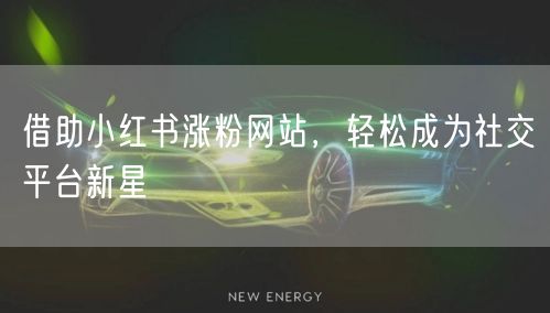 借助小红书涨粉网站，轻松成为社交平台新星
