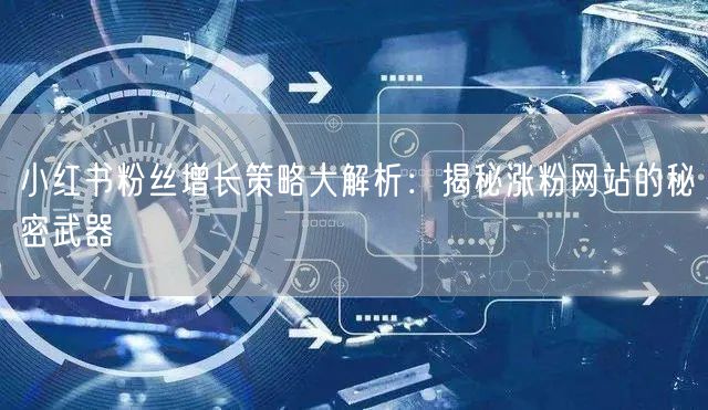 小红书粉丝增长策略大解析：揭秘涨粉网站的秘密武器