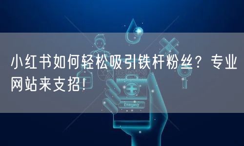 小红书如何轻松吸引铁杆粉丝？专业网站来支招！