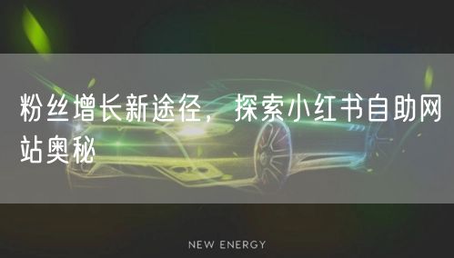 粉丝增长新途径，探索小红书自助网站奥秘