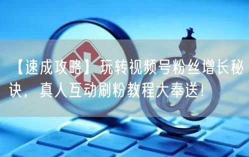 【速成攻略】玩转视频号粉丝增长秘诀，真人互动刷粉教程大奉送！