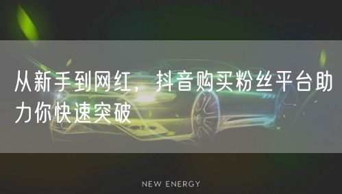 从新手到网红，抖音购买粉丝平台助力你快速突破