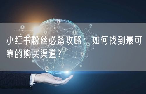 小红书粉丝必备攻略：如何找到最可靠的购买渠道？