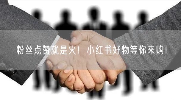 粉丝点赞就是火！小红书好物等你来购！