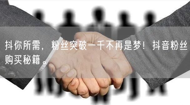 抖你所需，粉丝突破一千不再是梦！抖音粉丝购买秘籍。