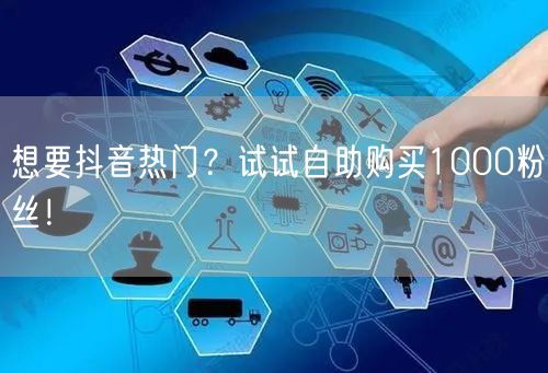 想要抖音热门？试试自助购买1000粉丝！