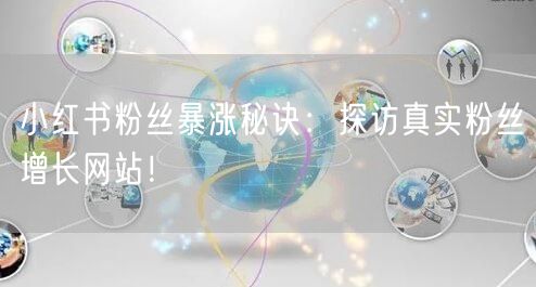 小红书粉丝暴涨秘诀：探访真实粉丝增长网站！