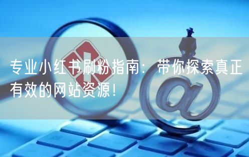专业小红书刷粉指南：带你探索真正有效的网站资源！