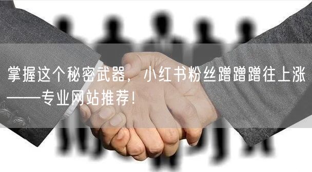 掌握这个秘密武器，小红书粉丝蹭蹭蹭往上涨——专业网站推荐！