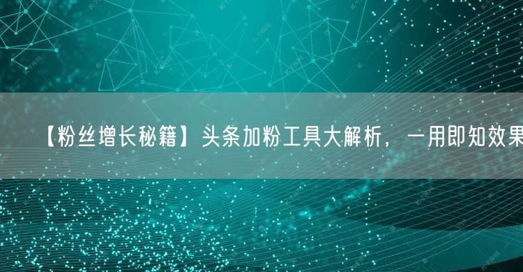 【粉丝增长秘籍】头条加粉工具大解析，一用即知效果！